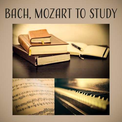 Bach, Mozart to Study – Classical Instruments to Study, Concentration Music, Effective Learning, Easy Exam with Famous Composers