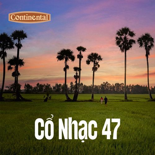 Cổ Nhạc 47 - Bông Hồng Cài Áo