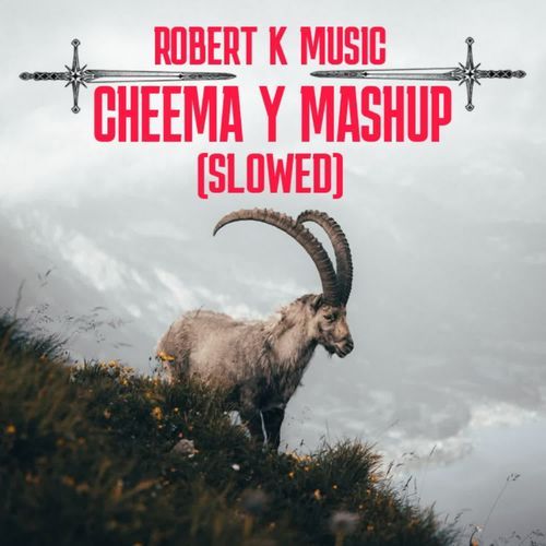CHEEMA Y MASHUP (SLOWED)