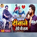Deewane Tere The Ham