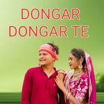 Dongar dongar te