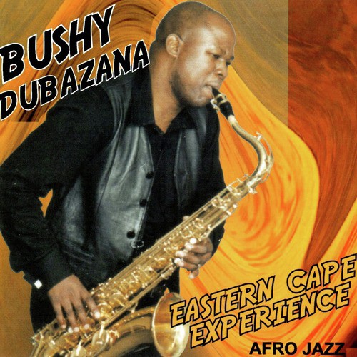 African Connection cover art