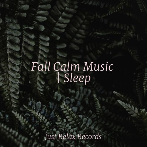 Fall Calm Music | Sleep