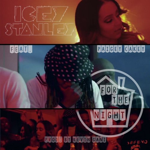 For the Night  (feat. Paigey Cakey)_poster_image