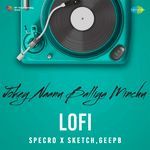 Jokey Naanu Balliya Minchu - Lofi