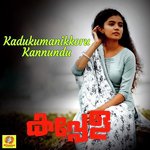 Kadukumanikkoru Kannundu (From &quot;Kappela&quot;)