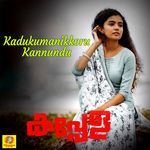 Kadukumanikkoru Kannundu (From "Kappela") (Original Motion Picture Soundtrack)
