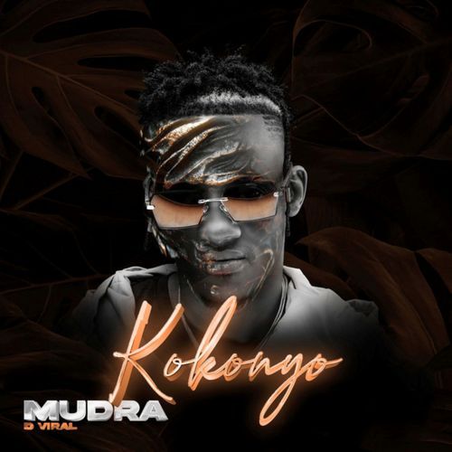 Kokonyo cover art