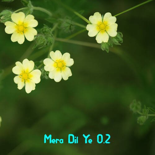 Mera Dil Ye 0.2