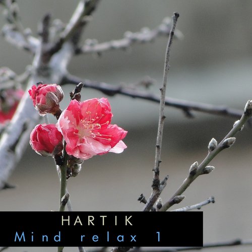 Mind relax 1