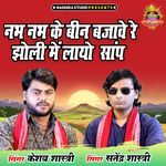 Nabh Nabh Ke Been Bajaave Re Jholee Mein Laayo Saanp