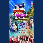 Narli Punvechya Sanala