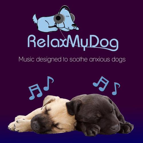 Pet Relaxation - Music to Relax Dogs and Encourage Sleep - Fight Against Separation Anxiety