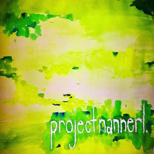 Project Nannerl