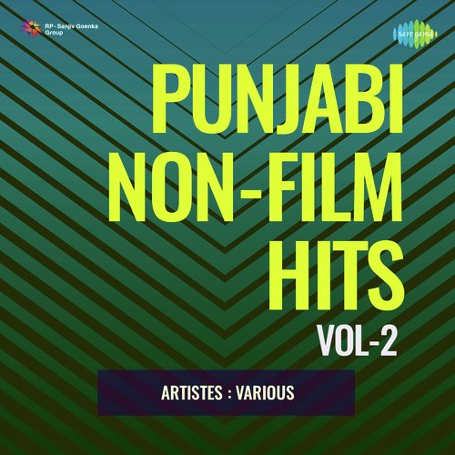 Punjabi Non - Film Hits Vol - 2