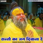 Santo Ka Jag Deewana re