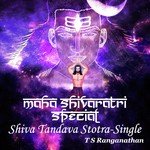 Shiva Tandava Stotra - Single