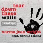 Tear Down These Walls (Alex DI Ciò Extended MIX)