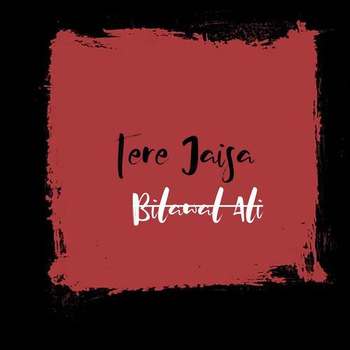 Tere Jaisa