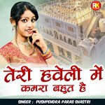 Teri Haweli Me Kamra Bahut Hai (Hindi)