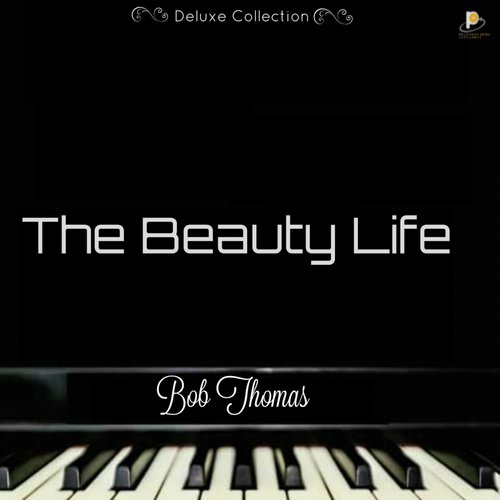 The Beauty Life_poster_image