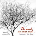 Words we never said - Ek Nazm