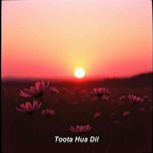Toota Hua Dil
