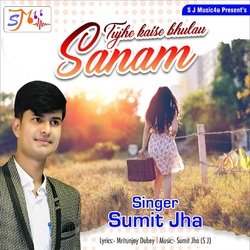 Tujhe Kaise Bhulau Sanam