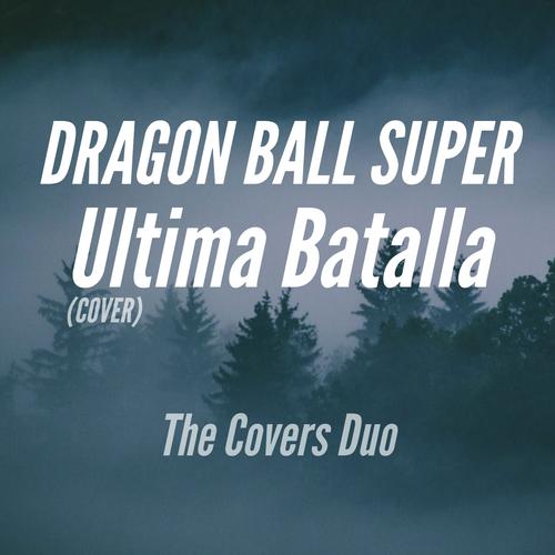 The Covers Duo