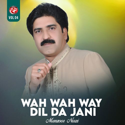 Wah Wah Way Dil Da Jani