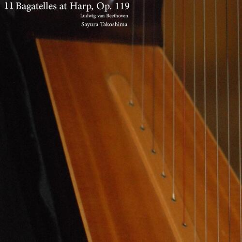 Bagatelle in B Flat Major, Op. 119 No. 11 (Arranged for Harp by Sayura Takoshima): Andante ma non troppo