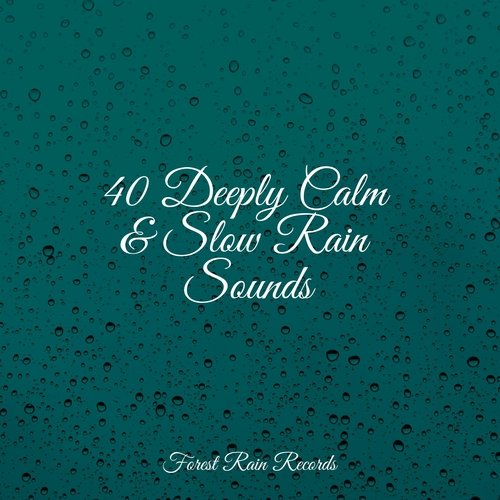 40 Deeply Calm & Slow Rain Sounds