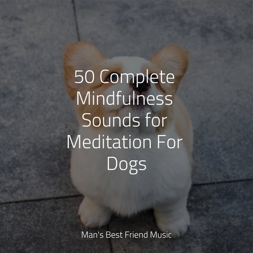 50 Complete Mindfulness Sounds for Meditation For Dogs_poster_image