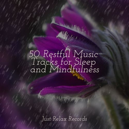 50 Restful Music Tracks for Sleep and Mindfulness