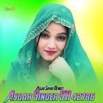 Asgar Singer SR 42786