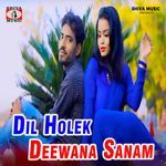 Dil Holek Deewana Sanam