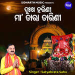 Dukha Harini Maa Tara Tarini artwork