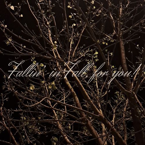 Fallin' in Fall for You.