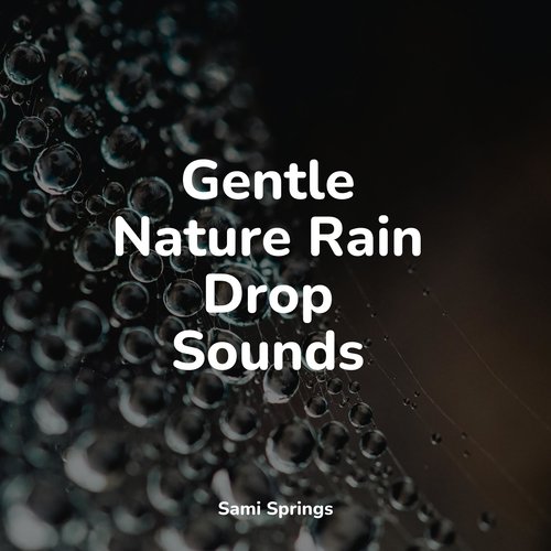 Gentle Nature Rain Drop Sounds_poster_image