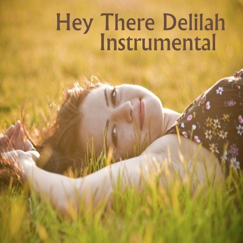 Hey There Delilah Instrumental Song