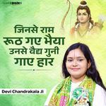 Jinse Ram Ruth Gaye Bhaiya Vaidya Guni gaye har (Live) artwork