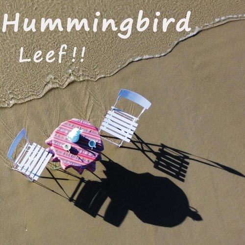 Ik Kan Zo Moeilijk Kiezen cover art