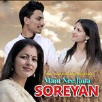 Main Nee Jana Soreyan