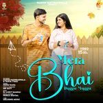 Mera Bhai (Slowed + Reverb)