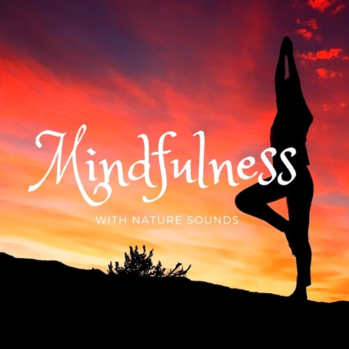Mindfulness - Meditation Office Music to Improve Concentration with Nature Sounds for Stress Reduction