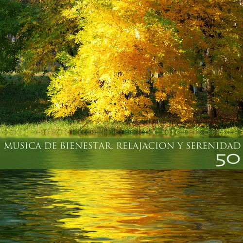 Musica Japonesa cover art
