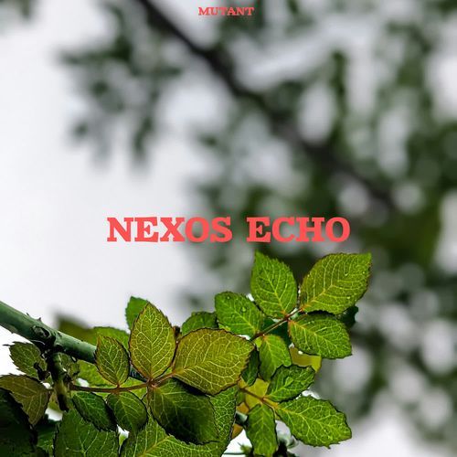 Nexos Echo