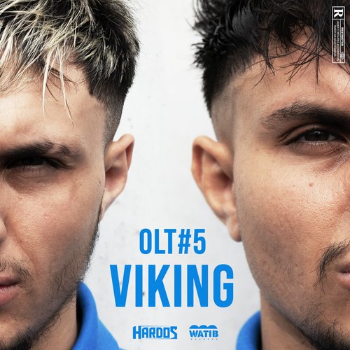 OLT #5 - Viking_poster_image