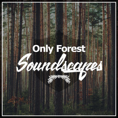 Only Forest Soundscapes