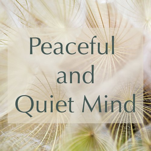 Peaceful and Quiet Mind – Soothing Sounds to Prepare Your Mind for a Healthy Meditation